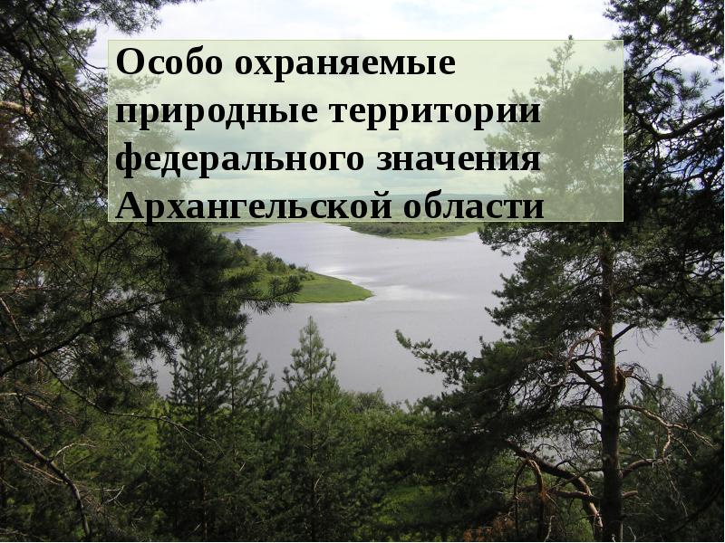 Значение оопт. Особо охраняемые природные территории федерального значения. Сообщение о особо охраняемых природных территориях. Особо охраняемые природные территории доклад. Сообщение о ООПТ.