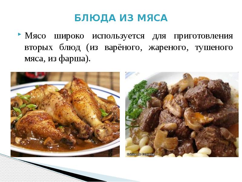 Мясо проект по технологии