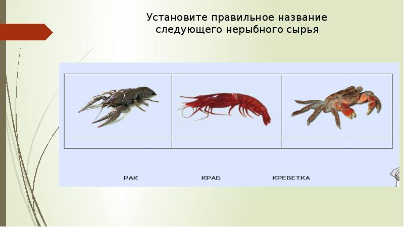 Нерыбные продукты моря презентация