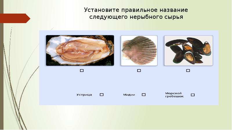 Нерыбные продукты моря презентация