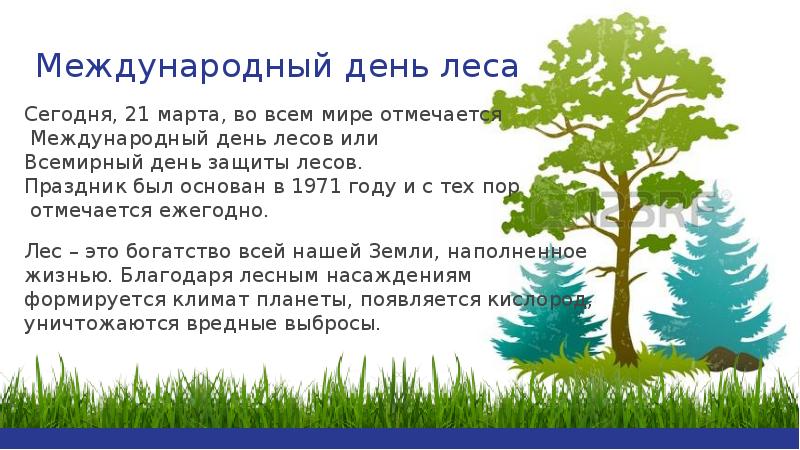 Всемирный день защиты лесов. Всемирный день леса. Презентация день леса. День леса презентация для начальной школы.