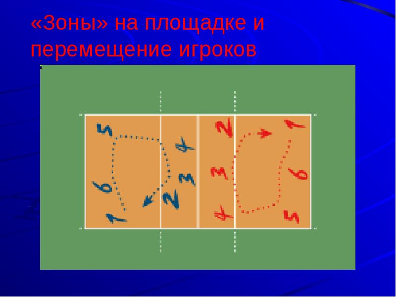 Волейбольная площадка рисунок