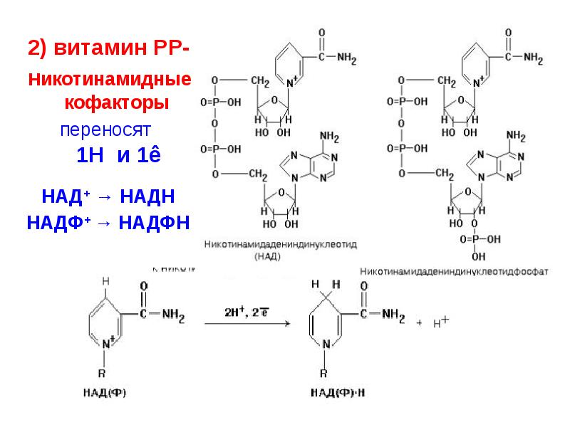 Над формула. Окисленная и восстановленная форма над и НАДФ. Надн2 биохимия. НАДФ н2 формула. Над НАДФ производные витамина.