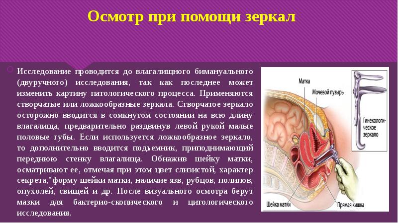 Девственницы Которых Смотрели Зеркалом Девственницы Которых Смотрели Зеркалом