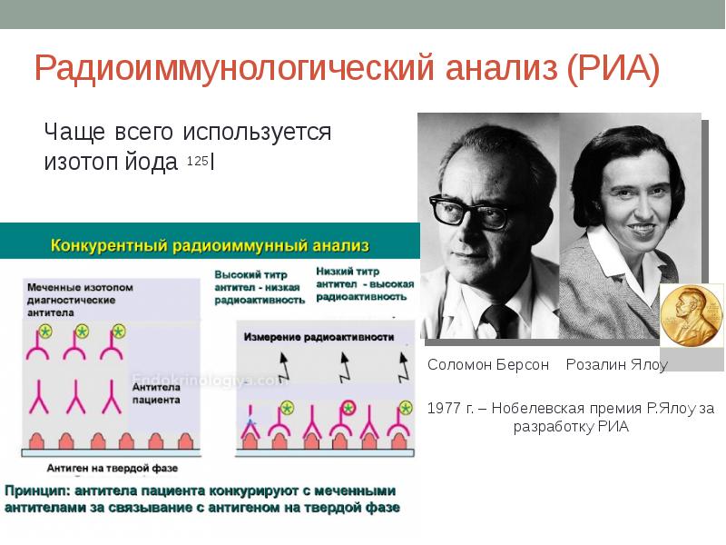 Радиоиммунный анализ схема