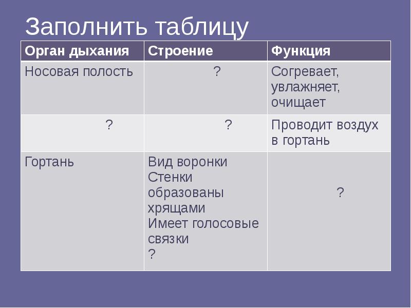 Органы дыхания человека презентация 8 класс биология