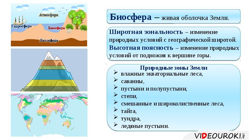 Урок географии 6 класс природные зоны земли презентация