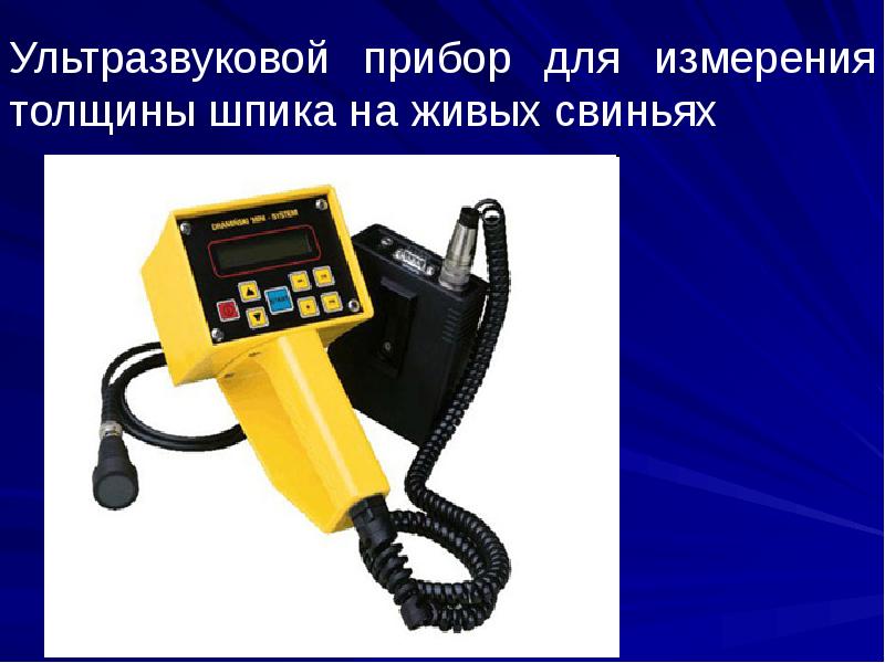 Ультразвуковой прибор для измерения толщины шпика на живых свиньях Ультразвуковой прибор для измерения толщины шпика на живых свиньях