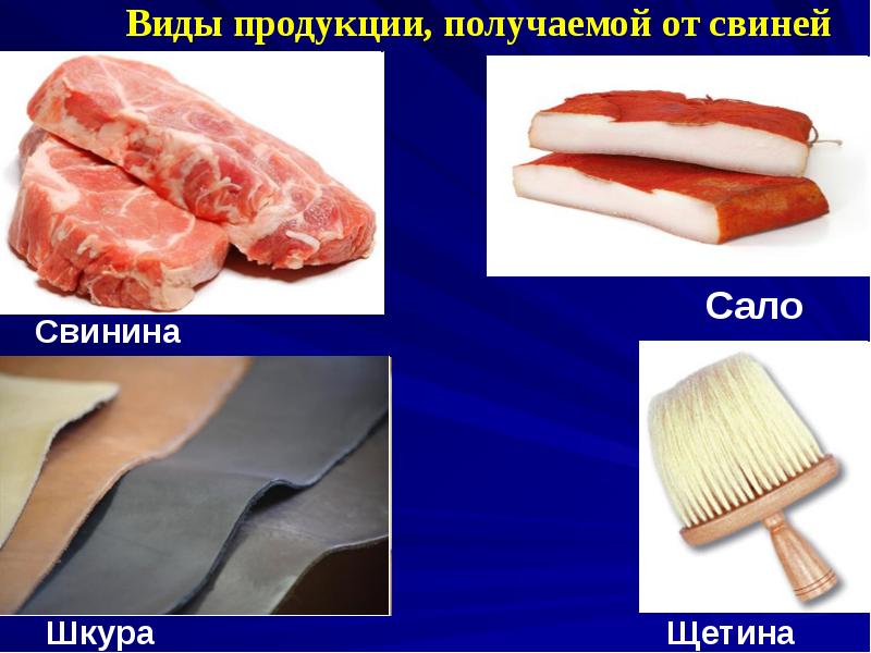 Сало
Сало Сало
Сало