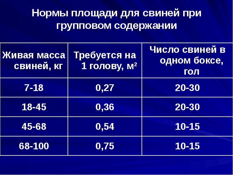 Нормы площади для свиней при групповом содержании Нормы площади для свиней при групповом содержании