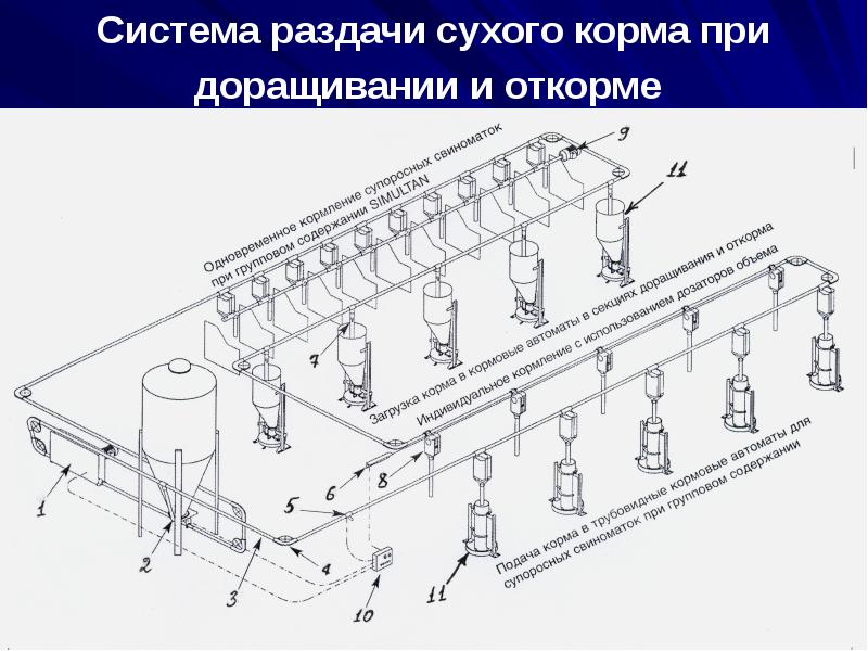 Технологическая схема раздачи кормов