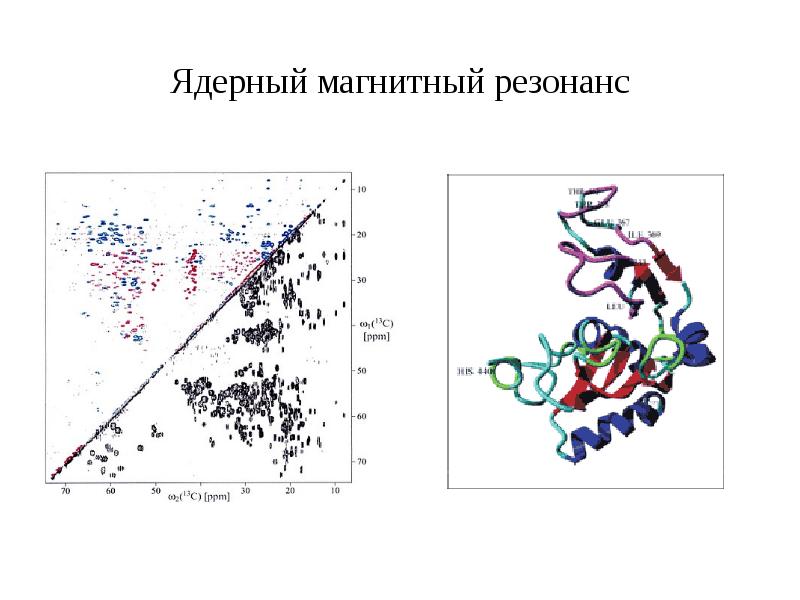 Метод кругового дихроизма презентация