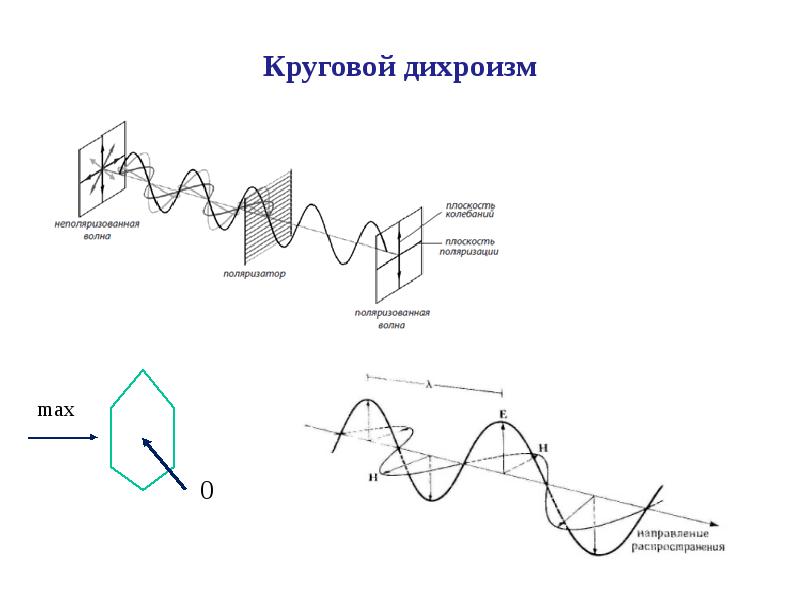 Метод кругового дихроизма презентация