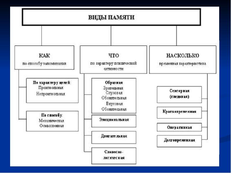 Возможности памяти. Как устроена память. Виды памяти доклад. Сообщение память и обучение. Режимы работы памяти доклад.