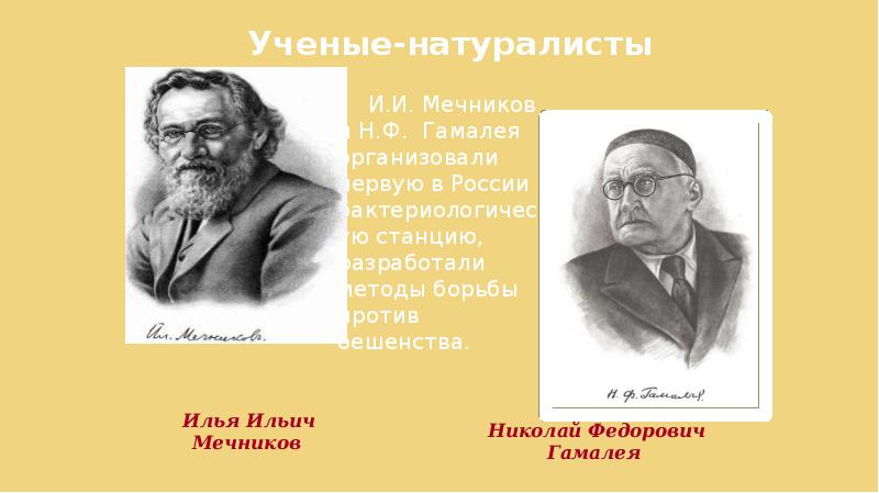 Культурное пространство империи во второй половине xix в презентация 9 класс торкунов