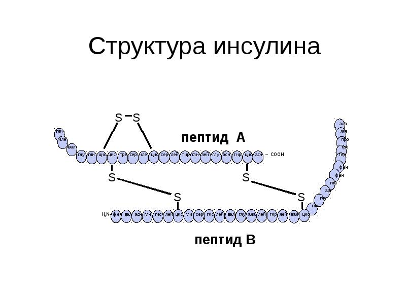Химическая природа инсулина. Схема строения инсулина биохимия. Инсулин структура. Строение инсулина биохимия. Инсулин химическая структура формула.