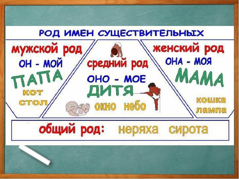 Род имени существительного 5 класс презентация