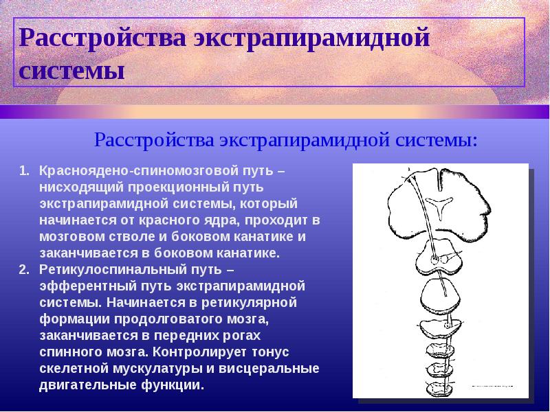 Экстрапирамидная система неврология презентация