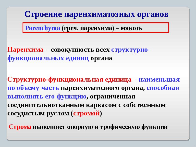 Общий план строения полых и паренхиматозных органов