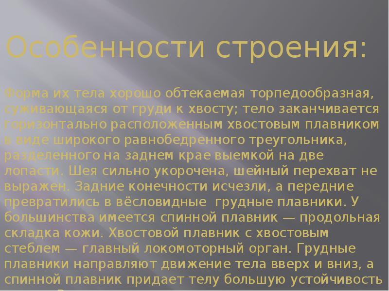 Отряд китообразные презентация