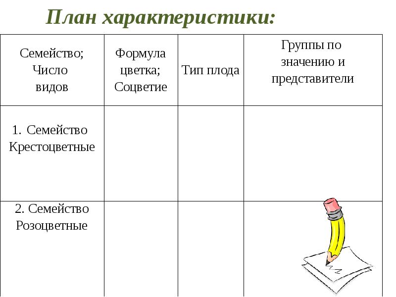 Семейство крестоцветные проект