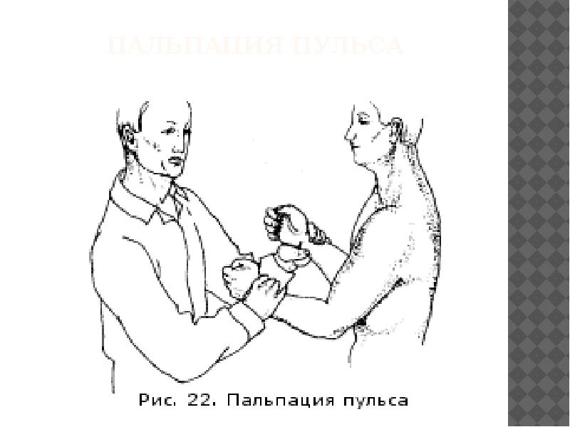 Исследование пульса презентация