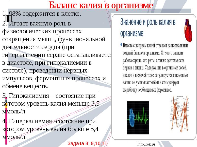 Калий в крови 1 2. Калий в организме человека. Калий роль в организме. Калий функции в организме человека. Калий в организме содержится.