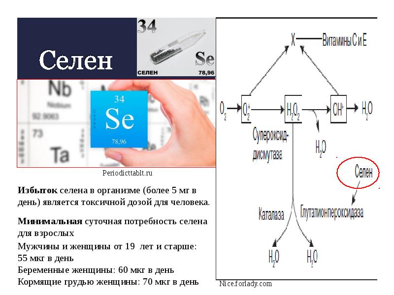 Презентация pptcloud ru