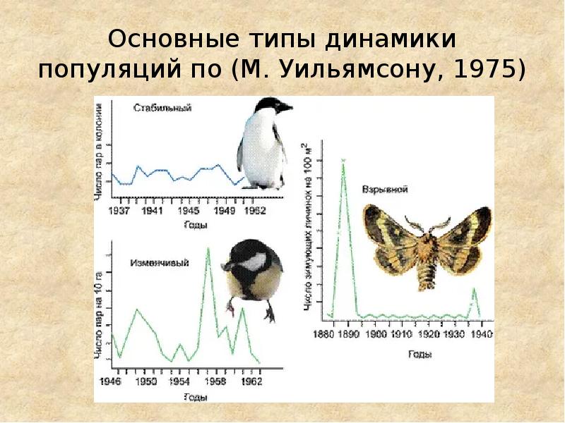 Вымирающая популяция схема