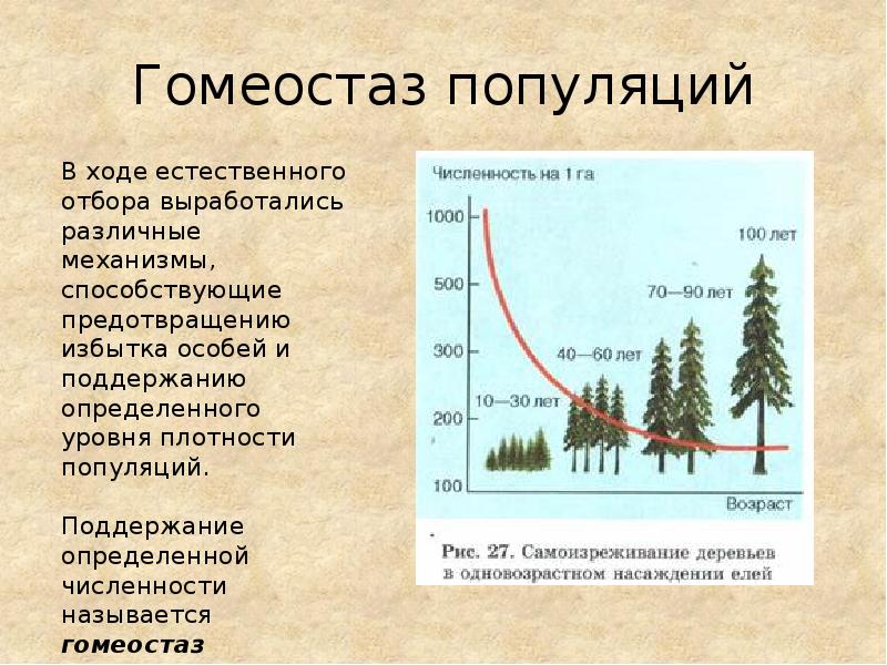 Определите рост численности