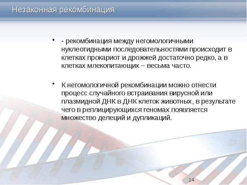 Незаконная рекомбинация   - рекомбинация между негомологичными нуклеотидными последовательностями происходит