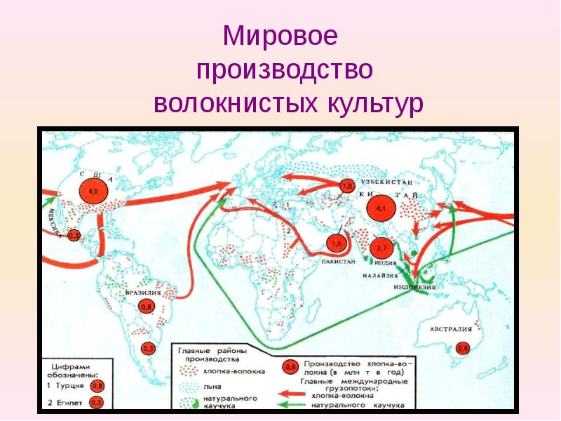 Сельское хозяйство мира презентация 10 класс география полярная звезда