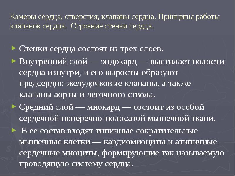 Эдуард бухнер презентация