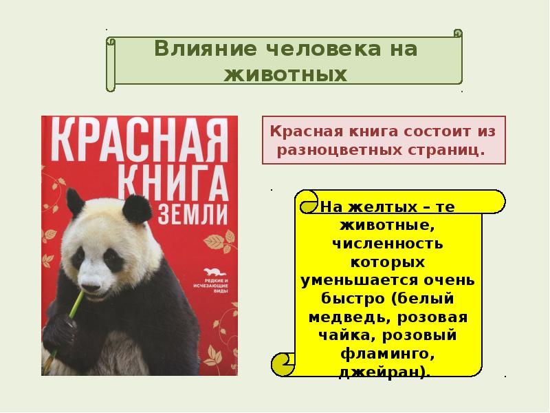 Влияние человека на животных презентация 7 класс биология