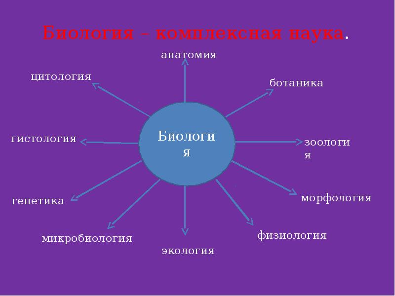 Почему биологию считают комплексная наука. Система биологических наук. Биологические науки 9 класс. Источники биологических знаний. Науки биологии 5 класс.