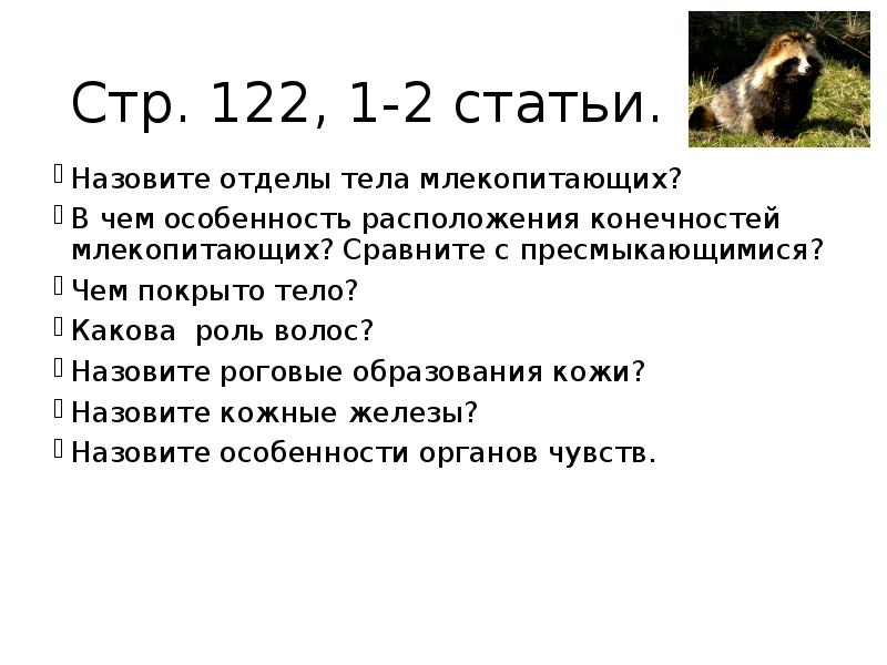 Статья как зовут