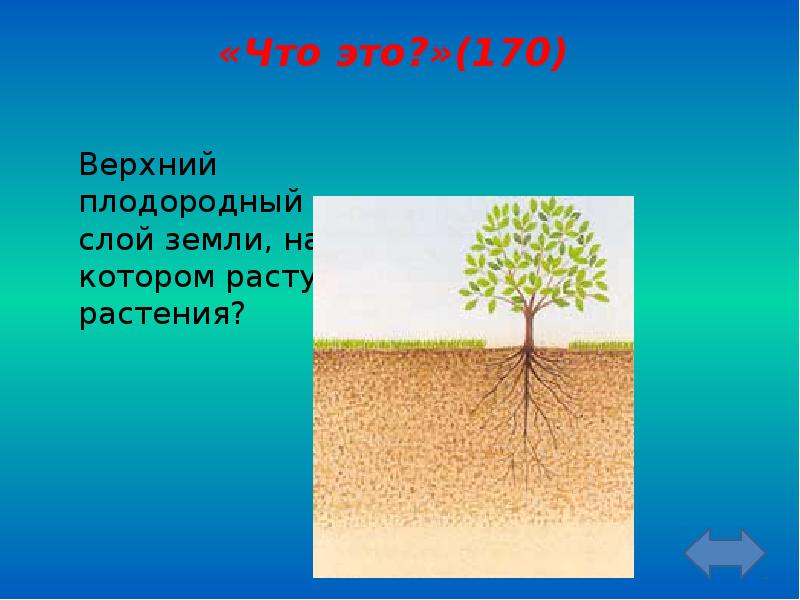 Требования к плодородному слою почвы. Верхний слой земли на котором растут растения. Наука которая изучает слои почвы.