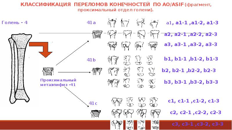 Переломы позвоночника презентация травматология