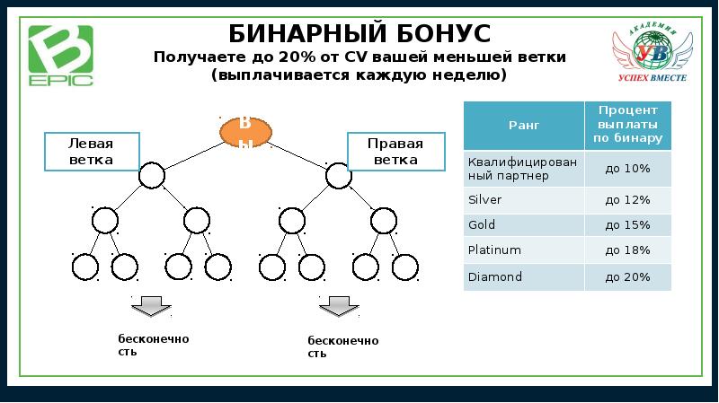 Маркетинг план force group