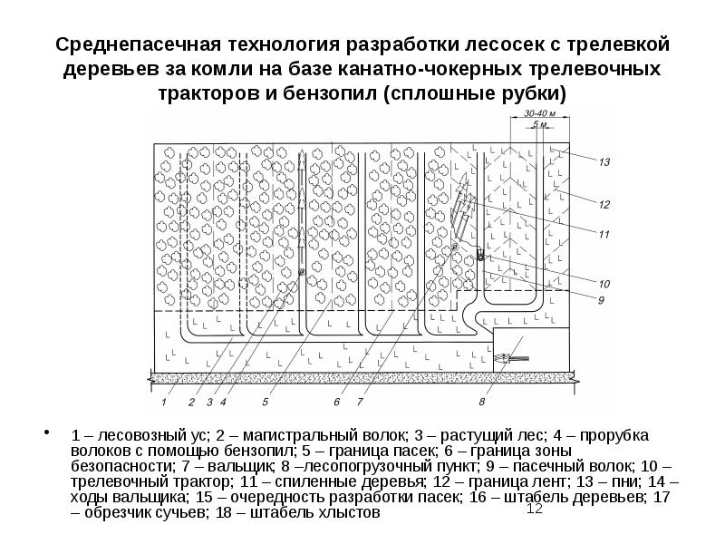 Технологическая карта лесосечных работ