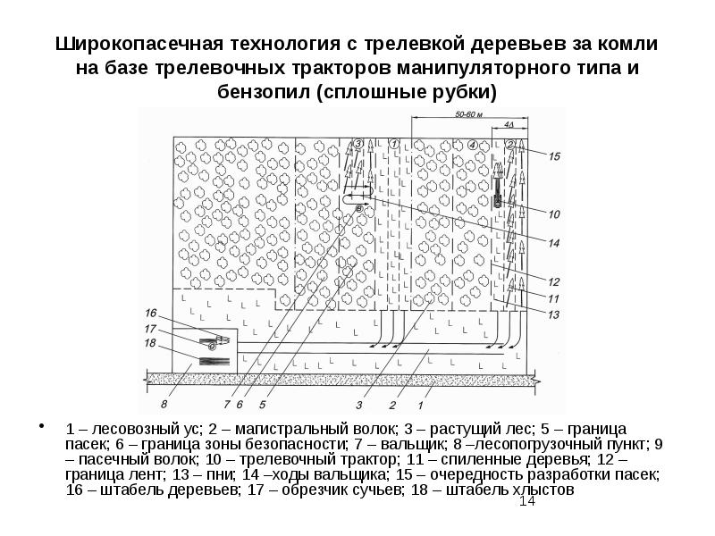 Новая технологическая карта разработки лесосеки