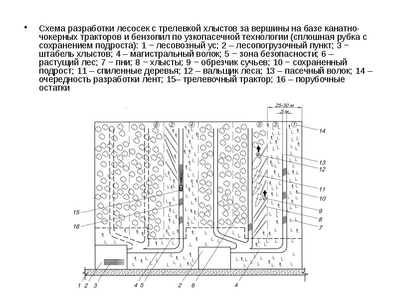 Схема разработки лесосеки харвестером