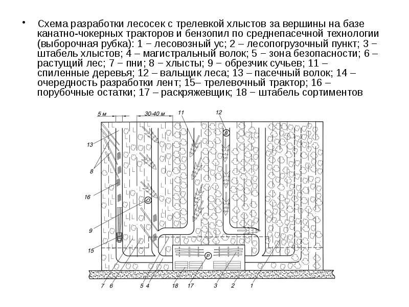 Технологическая карта образец лесосеки