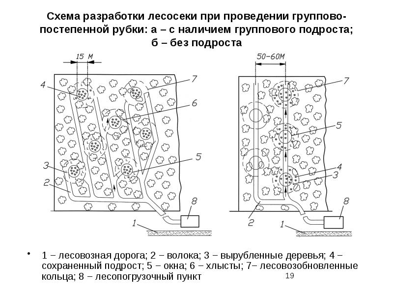 Схема разработки пасеки харвестером