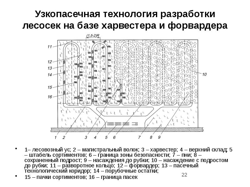 Технологическая карта на проведение рубок лесных насаждений образец