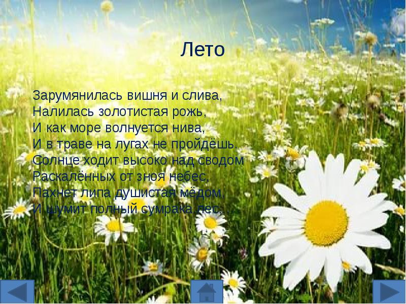 Презентация про лето