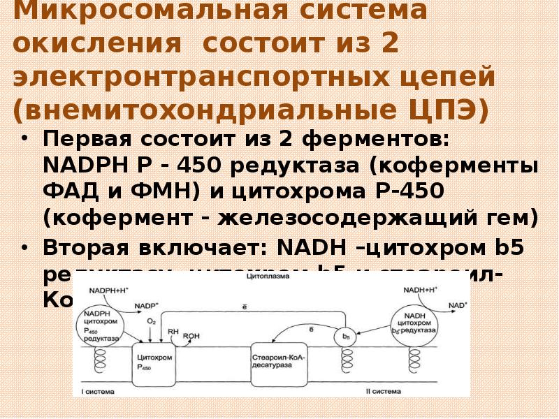 Общая схема микросомального окисления