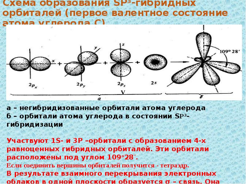 Х связь. Гибридные состояния атома углерода SP sp2 sp3. Sp3 гибридные орбитали. Схема образования SP -гибридных орбиталей. Атом углерода в sp3-гибридном состоянии.