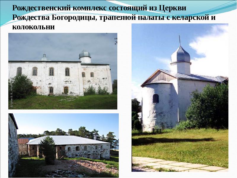 Проведение сигнала с антигенраспознающих рецепторов лимфоцитов. Комплекс состоящий из определенных. Строение трнк трансляция. Сердечный тропонин. Комплекс состоящий из определенных.