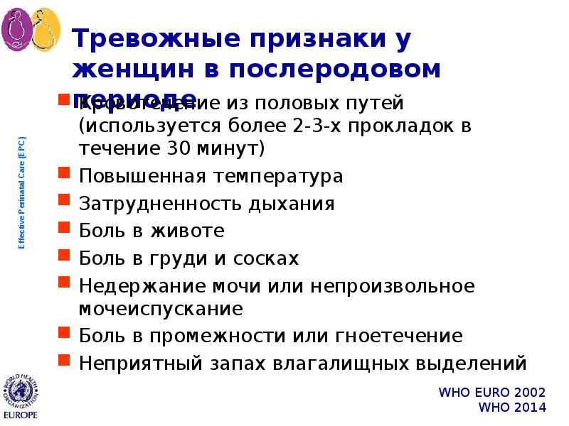 Спотлайт 8 модуль 8с презентация